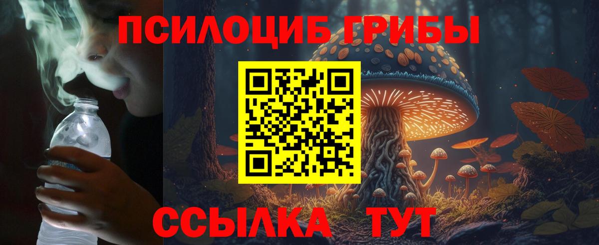 Назрань  как найти   Вход с VPN  Псилоцибиновые грибы прущие грибы 